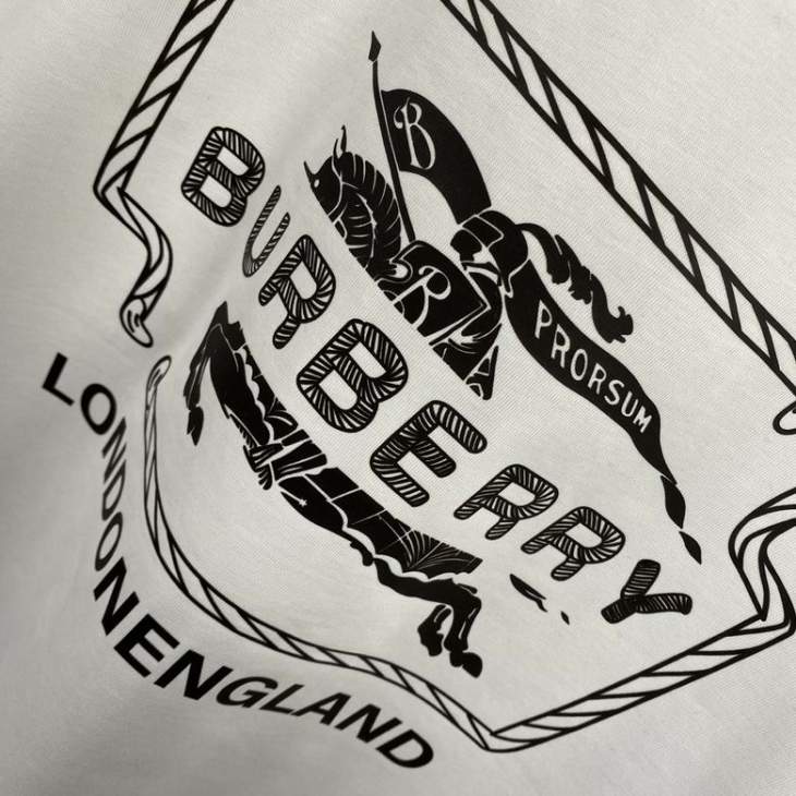 Picture of Burberry T Shirts Short _SKUBurberryXS-Lfstn0519203